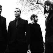 Birdy Nam Nam - List pictures