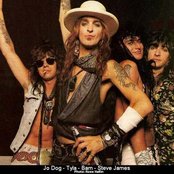 Dogs Damour - List pictures