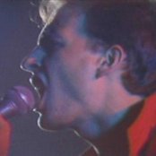 Flipper - List pictures