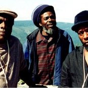 Mighty Diamonds - List pictures