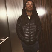 Yrn Lingo - List pictures