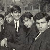 Los Ángeles Negros - List pictures