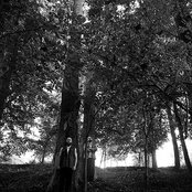 Becoming The Archetype - List pictures