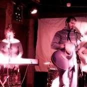 Woodpigeon - List pictures