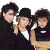 Flans - List pictures