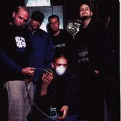 Limp Bizkit - List pictures