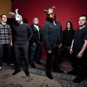 The Bunny The Bear - List pictures