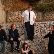 Leaf - List pictures