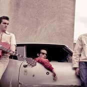 Mustang - List pictures