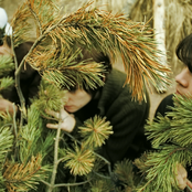 Candy Claws - List pictures