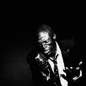 Seal - List pictures