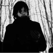 Calla - List pictures