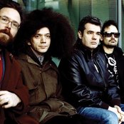 Polar Bear - List pictures