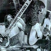 Amber - List pictures