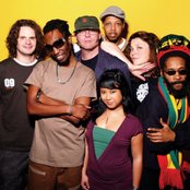 Easy Star All-stars - List pictures