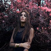 Dua Lipa - List pictures