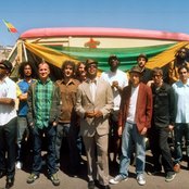 The Lions - List pictures