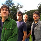 Skank - List pictures