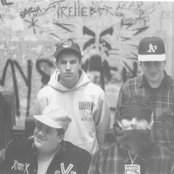 Integrity - List pictures