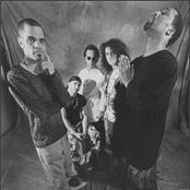 Screaming Headless Torsos - List pictures