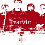 Marvin - List pictures