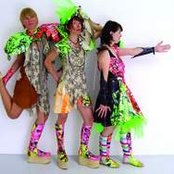 Chicks On Speed - List pictures