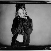 The Cranes - List pictures