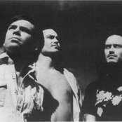 Meat Puppets - List pictures