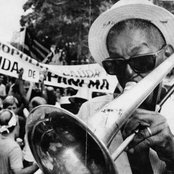 Cartola - List pictures