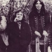 Spirogyra - List pictures