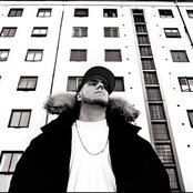 Organismen - List pictures