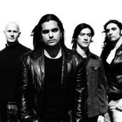 Seven Wiser - List pictures