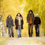 Pain Of Salvation - List pictures