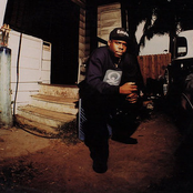 King T - List pictures