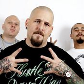 Delinquent Habits - List pictures