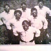 Brutus - List pictures