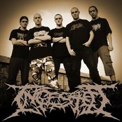 Ingested - List pictures