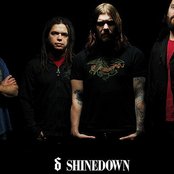 Shinedown - List pictures