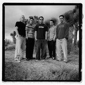 Slick Shoes - List pictures