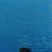 Stina Nordenstam - List pictures