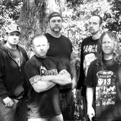 Brutality - List pictures