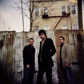 Calla - List pictures