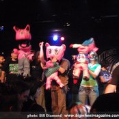 Green Jelly - List pictures