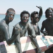 Nofx - List pictures