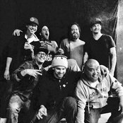 Insolence - List pictures