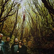 Beastwars - List pictures