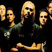 40 Below Summer - List pictures