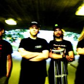 Nasum - List pictures