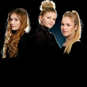 Lotus - List pictures