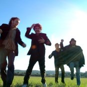 Elefantes - List pictures